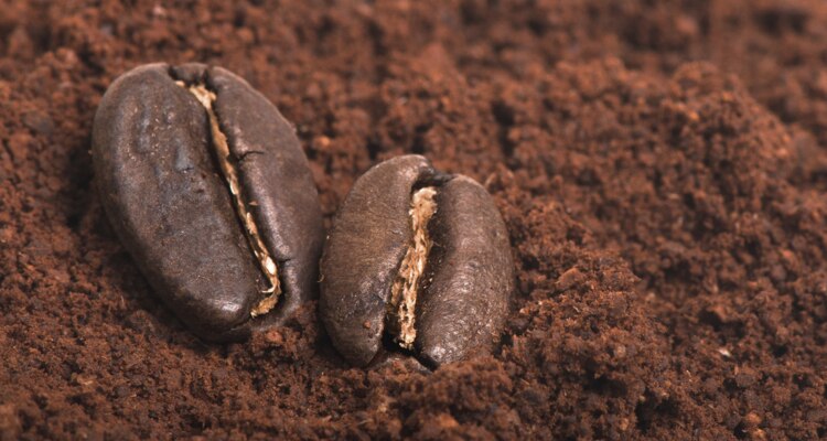 caffe-capsule-passionale-emotional-m-049.jpg